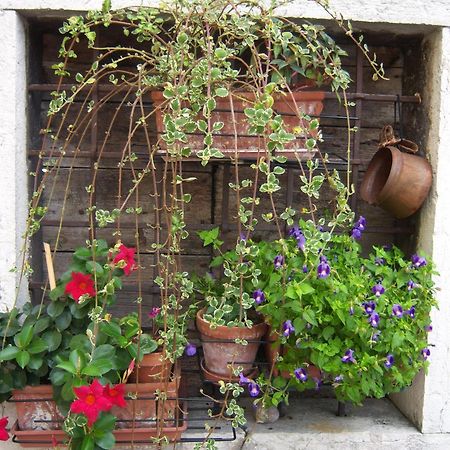 B&B Corte Barbieri Dolce Екстер'єр фото
